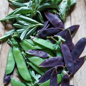 Mangetout and Broad Bean Tips