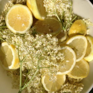 Elderflower cordial