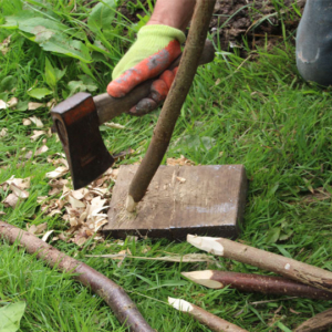 Sharpening the ends of hazel poles to make stakes