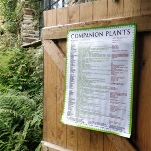 Herb Society UK Companion Planting Poster