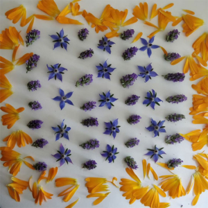 drying herbs on a surface