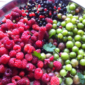 Soft Fruit for JMaking Jam and Jellies