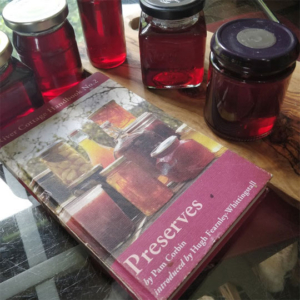 Preserves by Pam Corbin and River Cottage