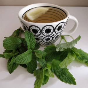 lemon balm herbal tea