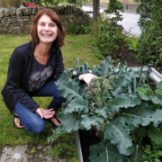 Late Summer Sowing - Purple Sprouting Broccoli