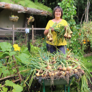 Lifting onions in August