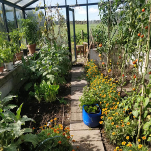 Bridge Cottage Greenhouse