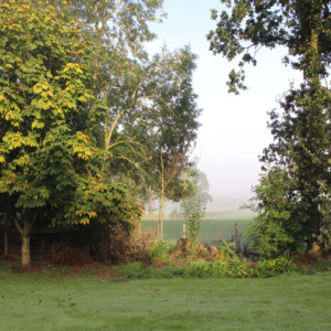 Autumn at Bridge Cottage