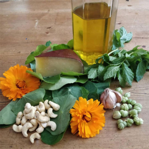 Ingredients for nasturtium pesto