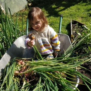 The Lady of Shallot