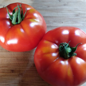 Portuguese tomatoes