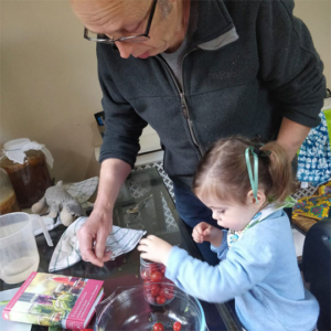 Daisy helps Grandad make Cherry Tomato Bombs