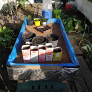 building a hot box for propagation, early seed sowing and growing