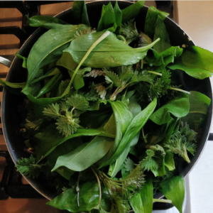 wild garlic and nettles