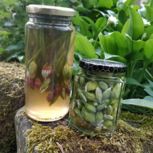 Pickled Wild Garlic Buds