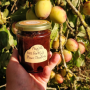 Picking, Cooking & Preserving, Late Summer's Plums