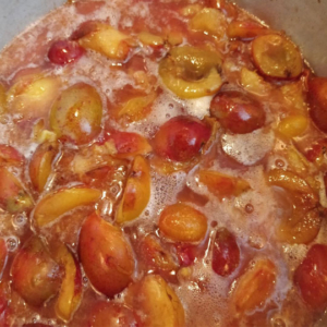 Plum Compote or Stewed Plums