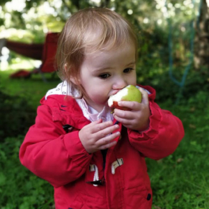 Nothing better than a crunchy apple