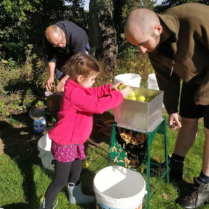 Juicing apples