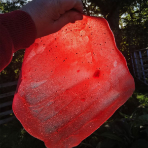 raspberry and apple fruit leather